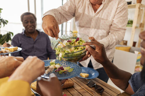 Ein älterer Mann serviert seinen Freunden am Esstisch Salat - JCCMF10617