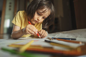 Focused boy drawing with colored pencil at home - ANAF01800