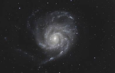 Galaxie Pinwheel im Sternbild Ursa Major - ZCF01154