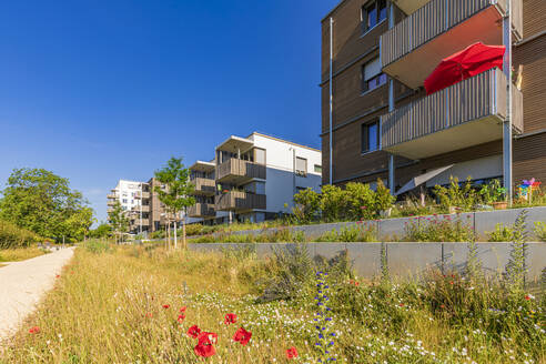 Deutschland, Baden-Württemberg, Ludwigsburg, Blumen blühen vor modernen Vorstadtwohnungen - WDF07347