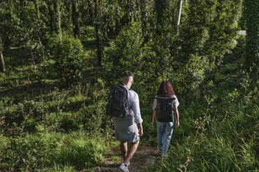 Mann und Frau erkunden den Wald an einem sonnigen Tag - ASGF03900