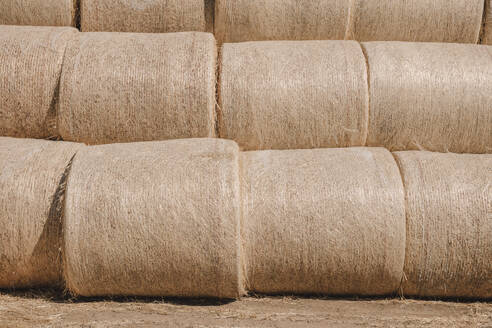 Stacked wrapped round hay bales in a field after harvest. - MINF16688