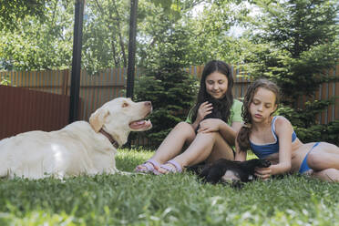 Friends spending leisure time with dogs on grass in back yard - OSF01908