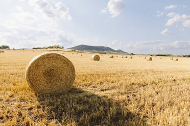 Bale of straw in stubble field on sunny day - SIF00695