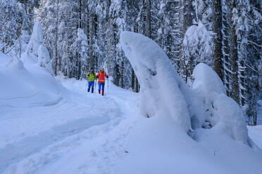 Ehepaar beim Wandern auf einem schneebedeckten Berg - ANSF00436