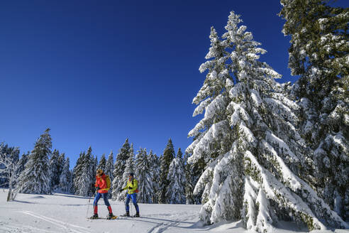 Pärchen beim Skifahren auf einem schneebedeckten Berg - ANSF00437