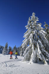 Paar beim Skifahren auf schneebedeckter Landschaft unter blauem Himmel - ANSF00438