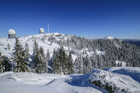 Bäume auf schneebedecktem Berg mit blauem Himmel im Hintergrund - ANSF00440