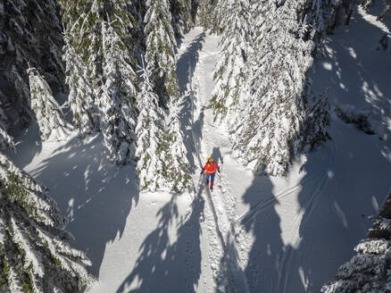 Frau in Skikleidung beim Wandern im schneebedeckten Nationalpark - ANSF00447