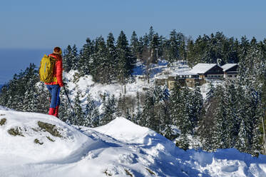 Wanderer auf schneebedecktem Berg vor Bäumen stehend - ANSF00456