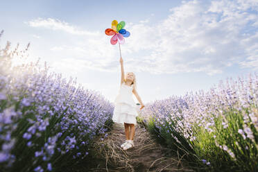 Blond girl wearing white dress holding pinwheel toy in lavender field - SIF00705