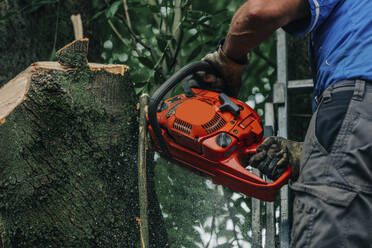Holzfäller sägt Baumstamm mit Kettensäge im Wald - VSNF01236