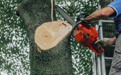 Holzfäller sägt Baumstamm mit Kettensäge - VSNF01239