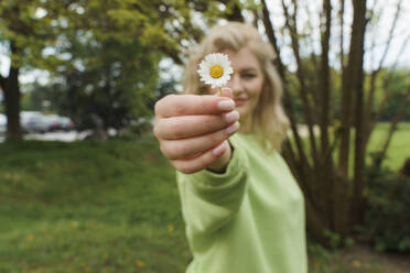 Woman holding daisy flower in park - OSF01913