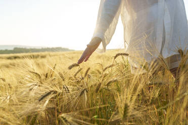 Frau berührt Weizenernte auf einem Feld - AAZF00793
