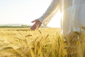 Frau berührt Weizenernte auf einem Feld - AAZF00794