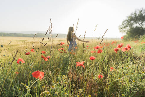 Mädchen steht inmitten von Mohnpflanzen auf einem Feld - AAZF00808