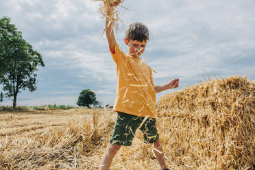 Junge spielt mit Heu in einem Weizenfeld an einem sonnigen Tag - VSNF01246