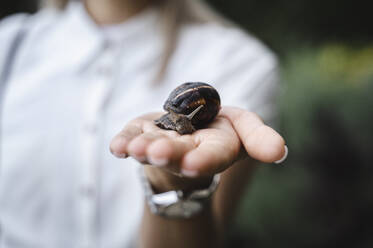 Hand of businesswoman holding snail - ALKF00459