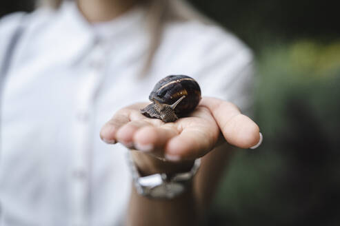 Hand einer Geschäftsfrau hält Schnecke - ALKF00459