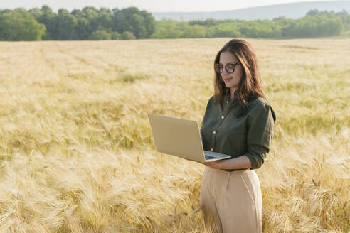 Geschäftsfrau arbeitet an einem Laptop inmitten von Gerstenkulturen auf einem Feld - AAZF00862