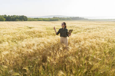 Agronom, der mit einem Tablet-PC auf dem Feld die Weizenkulturen mit Gesten untersucht - AAZF00872