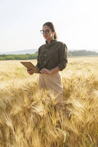 Geschäftsfrau mit Tablet-PC inmitten der Gerstenernte auf einem Bauernhof - AAZF00877