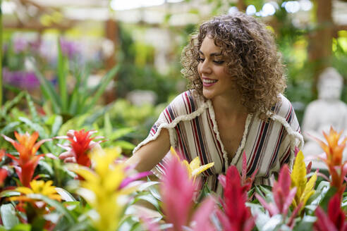 Smiling woman buying colorful flowers at nursery - JSMF02806