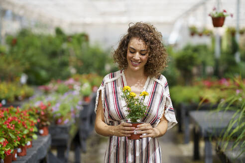 Lächelnde Frau betrachtet eine Pflanze in einer Gärtnerei - JSMF02823
