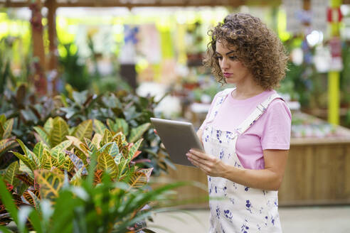 Florist arbeitet konzentriert an einem Tablet-PC in der Nähe von Pflanzen in einer Gärtnerei - JSMF02830