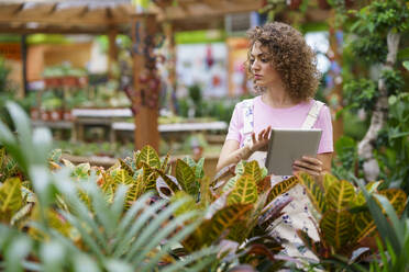 Woman taking inventory on tablet PC standing near plants in nursery - JSMF02831