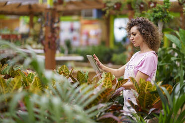 Frau benutzt Tablet-PC inmitten von Pflanzen in einer Gärtnerei - JSMF02833