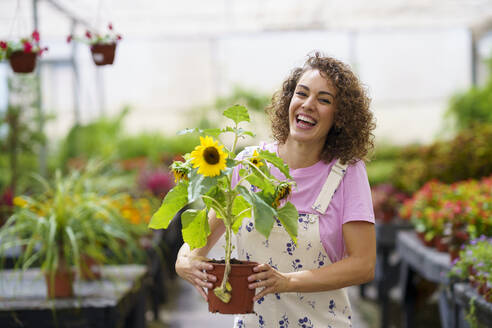 Woman laughing and holding potted sunflower in nursery - JSMF02839