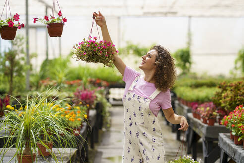 Lächelnde Floristin, die Pflanzen in der Gärtnerei aufhängt - JSMF02842