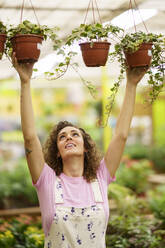 Florist with arms raised hanging plants on rope in nursery - JSMF02846