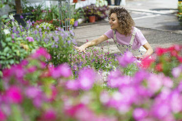 Florist bei der Pflege von Pflanzen in der Gärtnerei - JSMF02854