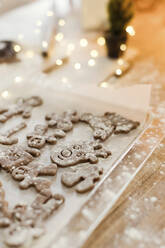 Gingerbread cookies on tray in kitchen - ONAF00606