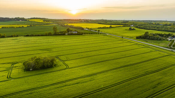 Dänemark, Syddanmark, Christiansfeld, Luftaufnahme von grünen Feldern bei Sonnenuntergang im Sommer - AMF09935