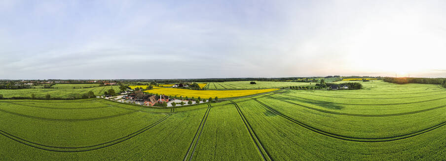 Dänemark, Syddanmark, Christiansfeld, Luftpanorama eines Dorfes inmitten von Sommerfeldern bei Sonnenuntergang - AMF09938