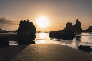 Silhouette of rocks on beach at sunset - PNAF05864