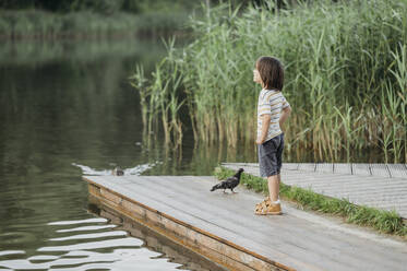 Junge mit Taube auf einem Steg am See - ANAF01819