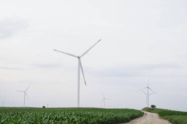 Windräder auf der grünen Wiese unter dem Himmel - EKGF00344