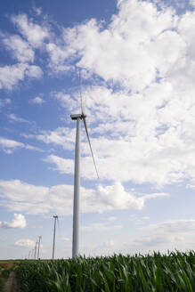 Windkraftanlagen unter bewölktem Himmel auf einem Feld - EKGF00363