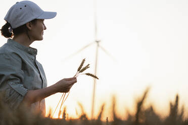 Landwirt mit Hut hält Weizenpflanzen auf einem Feld - EKGF00435