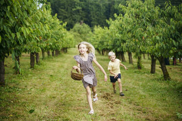 Blondes Mädchen hält Weidenkorb und läuft mit Bruder im Garten - NJAF00467