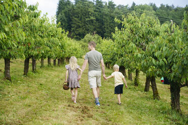 Vater mit Kindern beim Spaziergang im Garten - NJAF00469