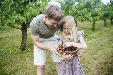 Lächelnder Vater hilft Tochter beim Tragen eines Kirschkorbs im Garten - NJAF00472