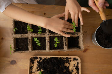 High angle of anonymous female gardener and kid standing at wooden table and digging soil with spade and planting green leaves plant - ADSF45734