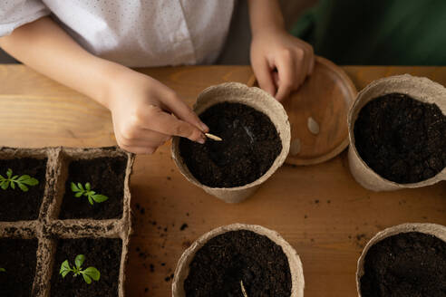 High angle of crop anonymous gardener in casual clothes standing at wooden table and planting seedling in loamy soil kept in pots with some growing plants - ADSF45738