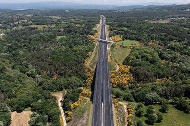 Top view of asphalt road with divider and lanes while cars driving on highway and heading through autumn forest with green trees against blue sky on sunny day - ADSF45774